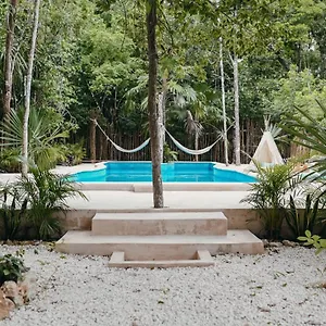 Lunita Jungle Experience Puerto Morelos